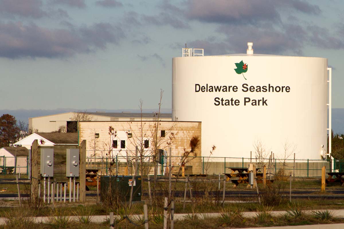 Delaware Seashore State Park